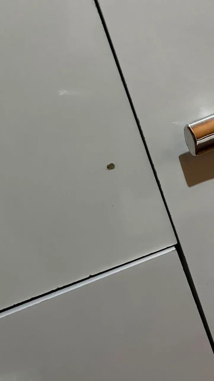 Guarda roupa  - Foto 4