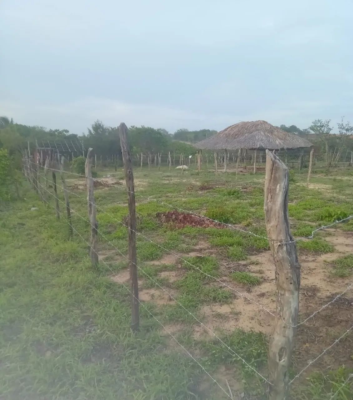 Terreno em Barreirinhas MA - Foto 5