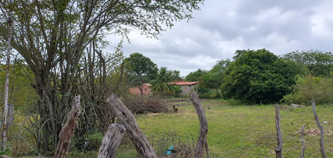 Vende se  terreno no povoado lagoinha - Foto 4