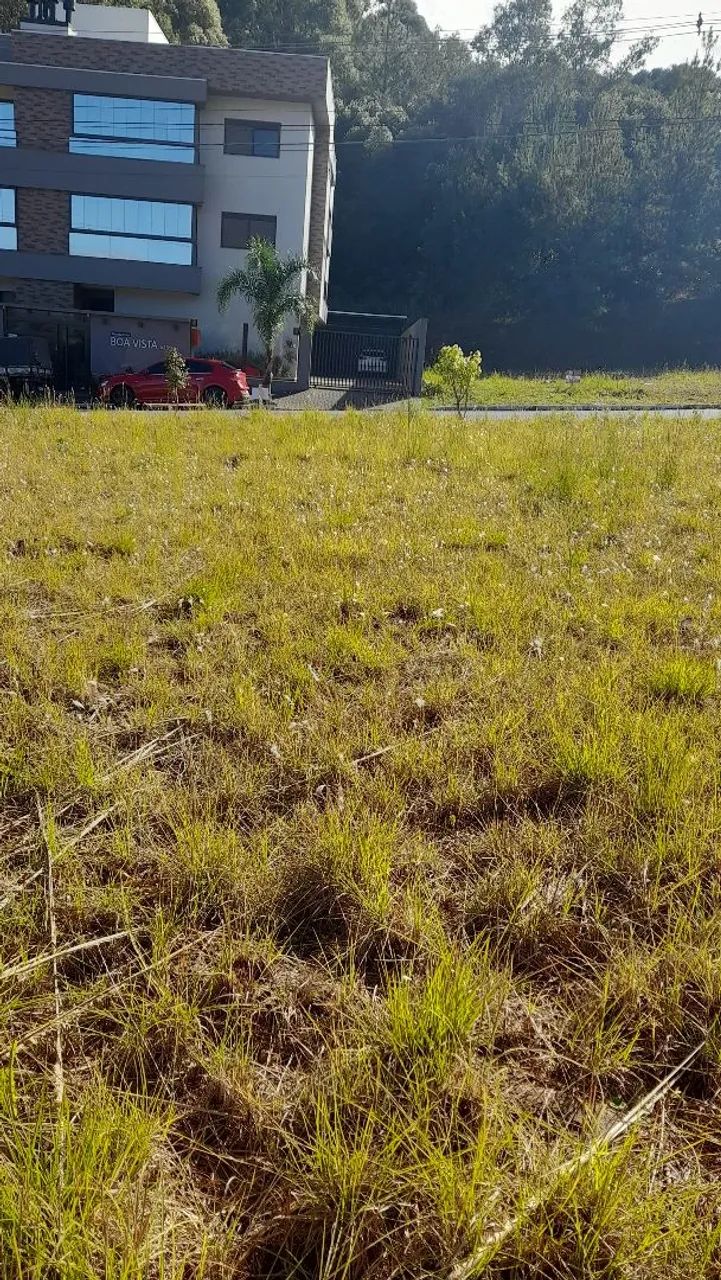Terreno em SÃO MARCOS - Foto 4