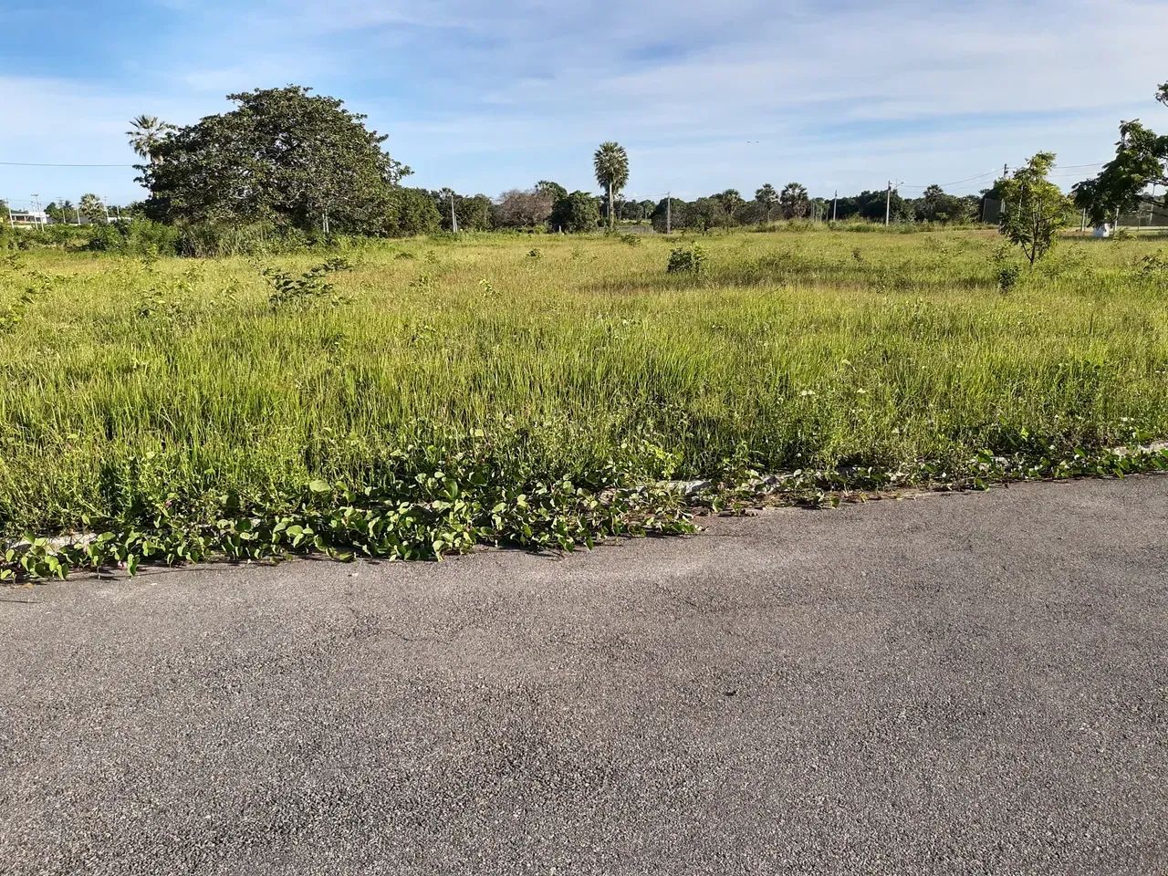 Oportunidade: Ultimos Lotes: CONDOMINIO RESERVA CAMARÁ: 7KM DO CENTRO DE EUSÉBIO -CEARÁ - Foto 4