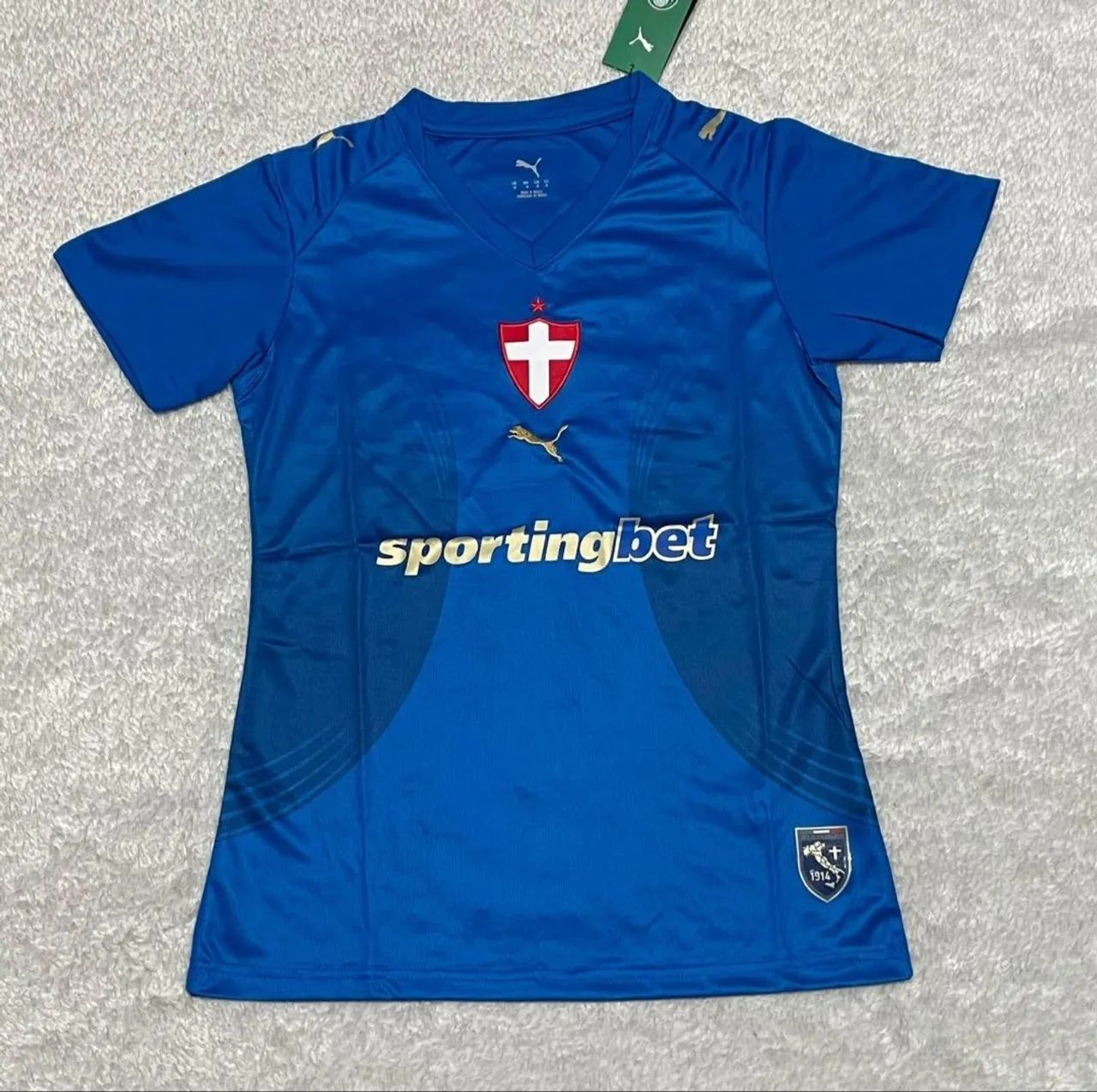 Feminina palmeiras