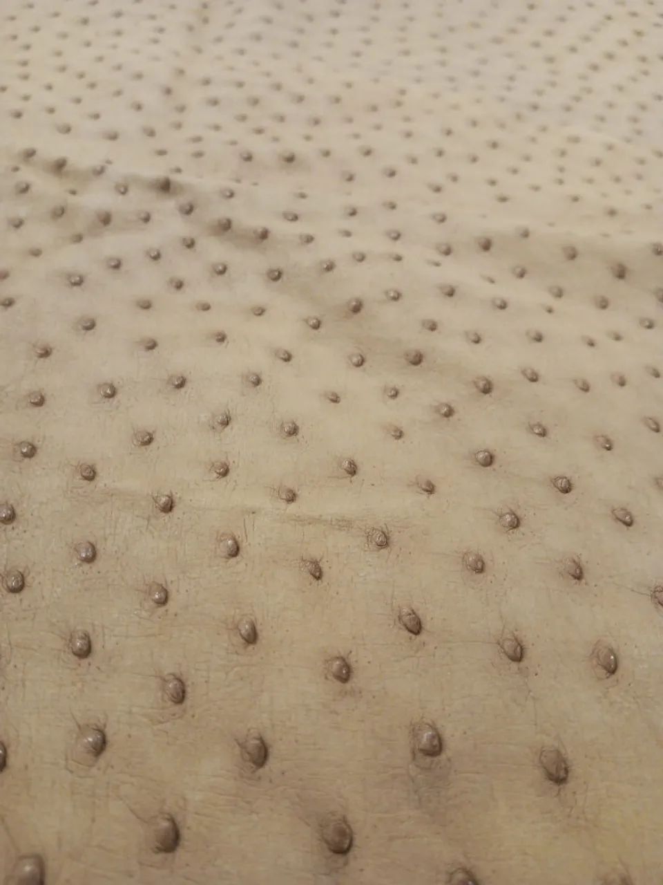 Couro de avestruz na cor bege. - Foto 2