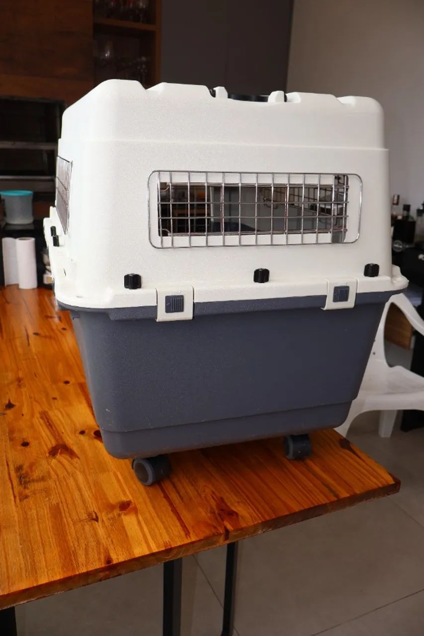 Caixa de Transporte para Cães e Gatos Gomoov Tamanho intermediário - Foto 6