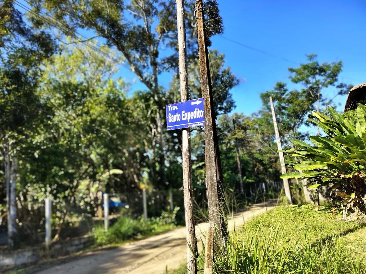 Terreno do sonho  - Foto 4