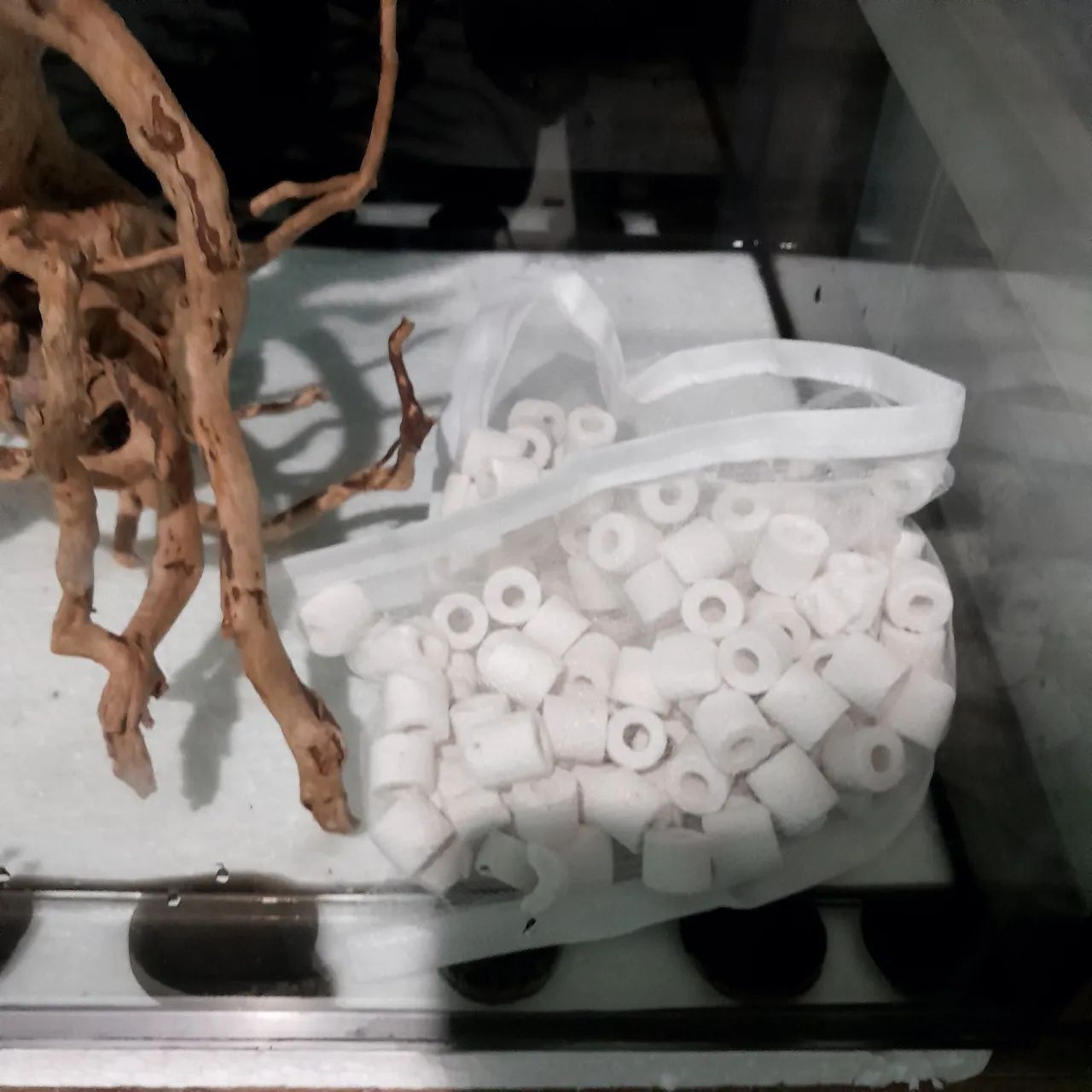 Aquário plantado  - Foto 3