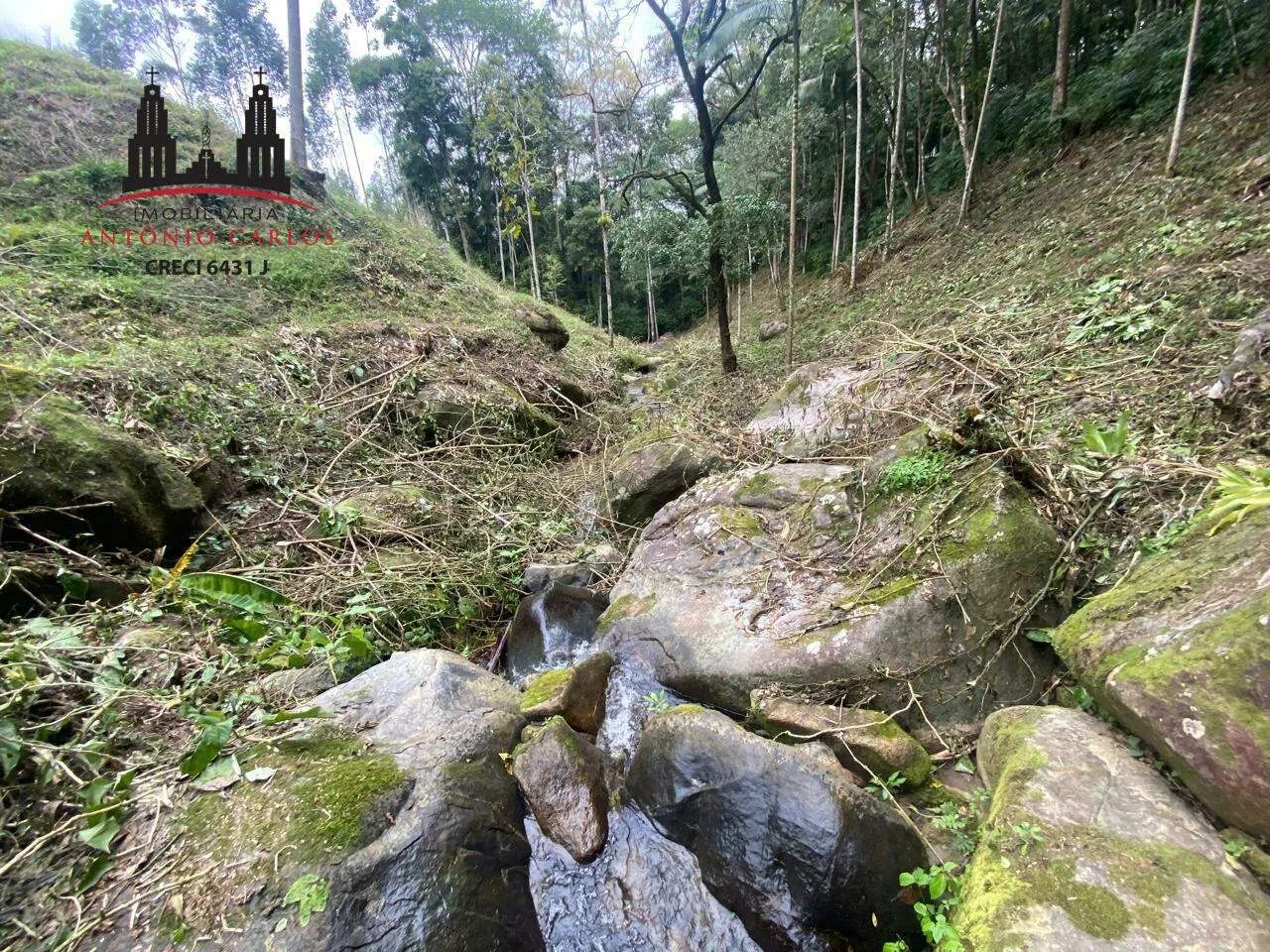 Sítio com 23.000m² à venda em Antônio Carlos/SC - Foto 2