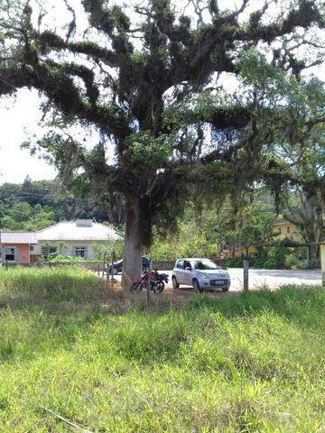 Terreno em São Pedro de Alcântara - Foto 8