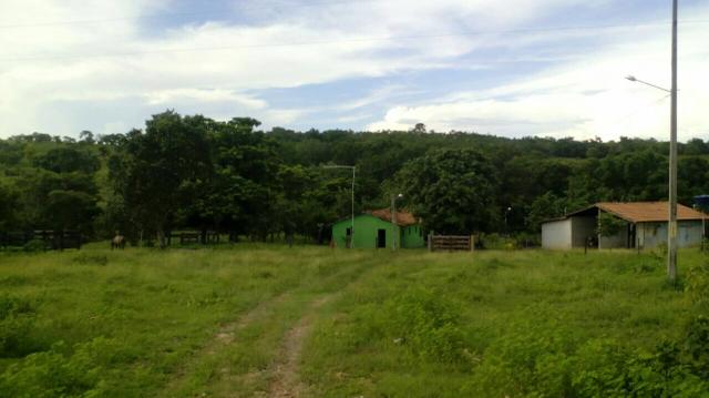 Sítio Município de Goiás Velho - Foto 6