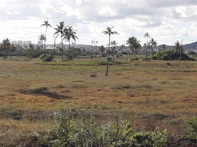 Área (terreno) comercial108 m x 362m = 39.096 m2 ao lado do cond. Maria Rezende Machado - Foto 5