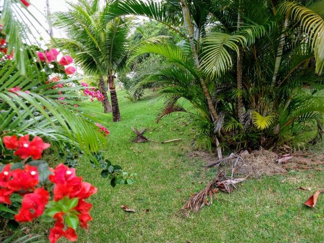 Chácara urbana em Meaipe, pertinho da praia - Foto 4