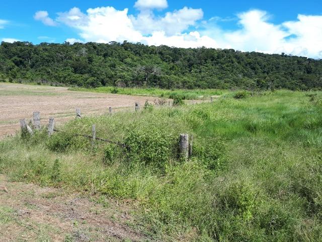 200 hectares, 20 km de Guarantã do Norte -MT - Foto 3