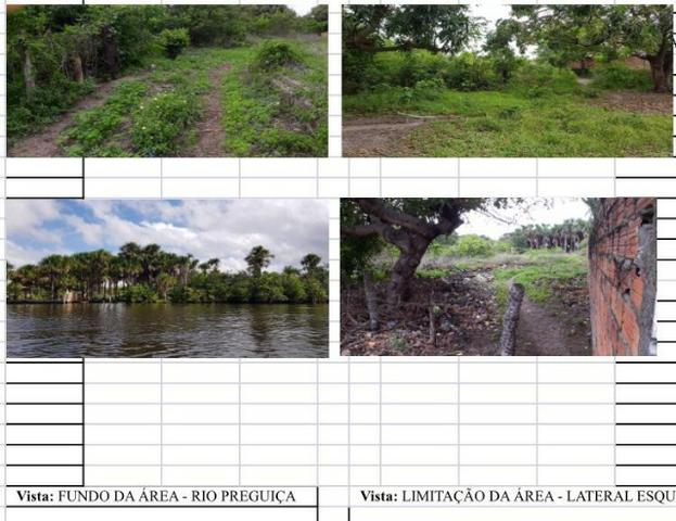 Terreno às margens do Rio Preguiças em Barreirinhas!! - Foto 3