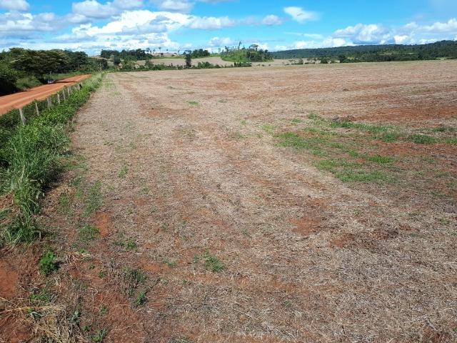 200 hectares, 20 km de Guarantã do Norte -MT - Foto 12