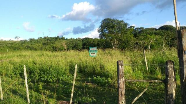 Itagibá. Fazenda pecuária de 375 Hectares com toda infraestrutura. - Foto 20