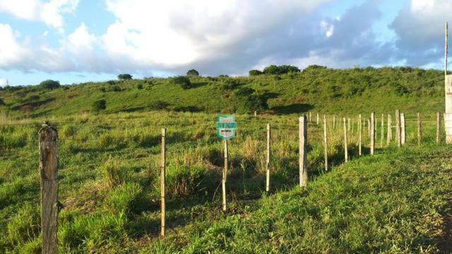 Itagibá. Fazenda pecuária de 375 Hectares com toda infraestrutura. - Foto 6