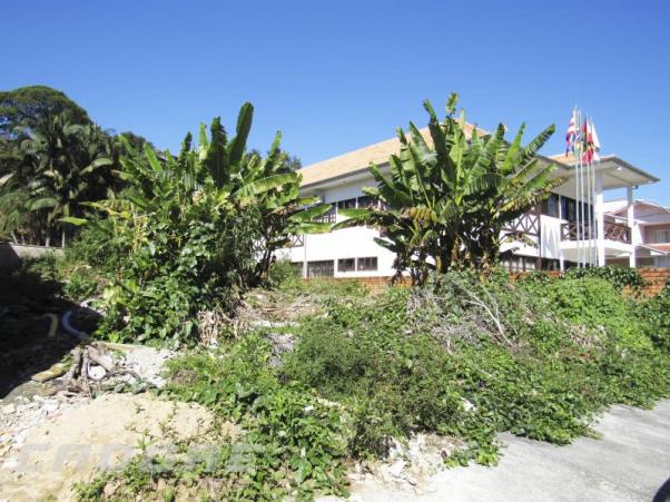 Terreno