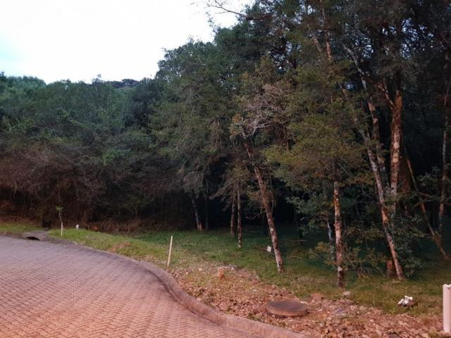 Terreno à venda, 737 m² por r$ 165.000,00 - caracol - canela/rs - Foto 3