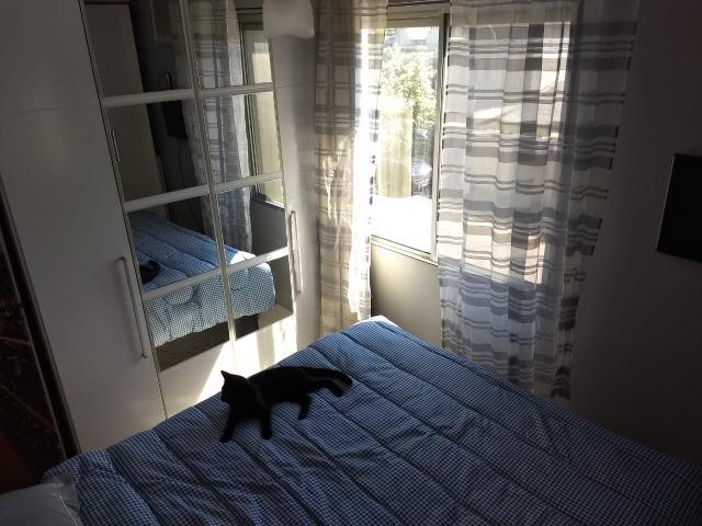 Excelente apartamento, um dormitório - Condomínio Novo Horizonte - Foto 19