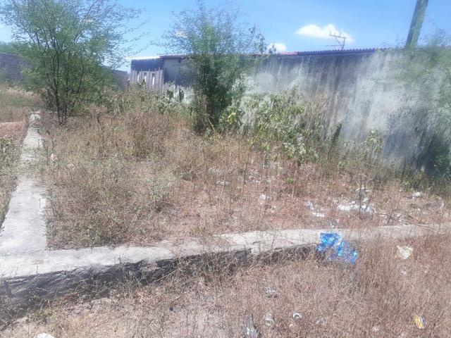 Vende-se um terreno em Ipirá no ipirazinho 8x15