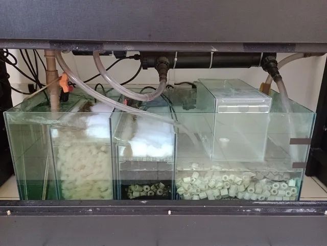 Bateria para criação de peixes ornamentais. (Retirar no local). - Foto 5