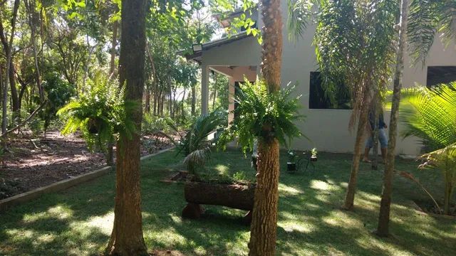 Alugo chácara beira do lago - Foto 9