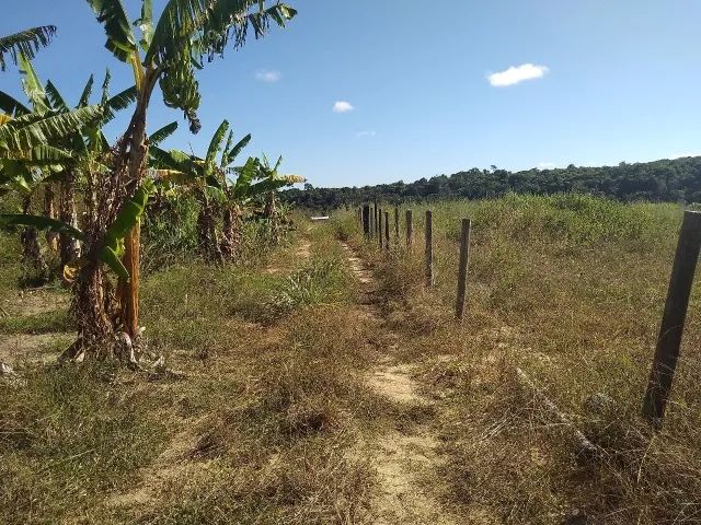 Vendo sítio em São Mateus  - Foto 4