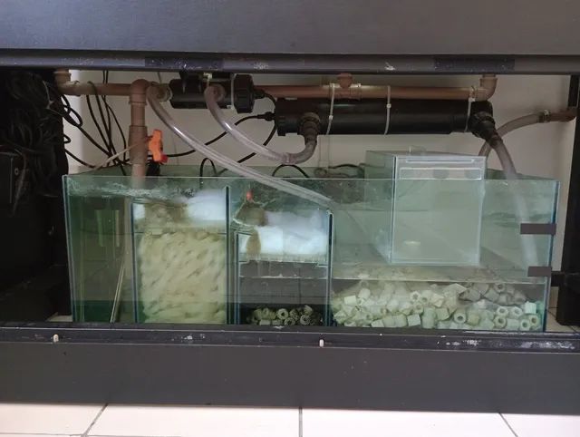 Bateria para criação de peixes ornamentais. (Retirar no local). - Foto 6
