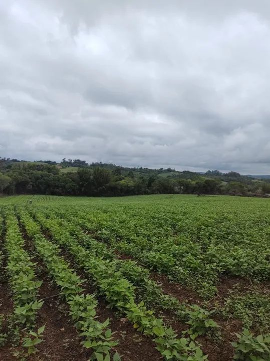 foto - Pelotas - Fragata