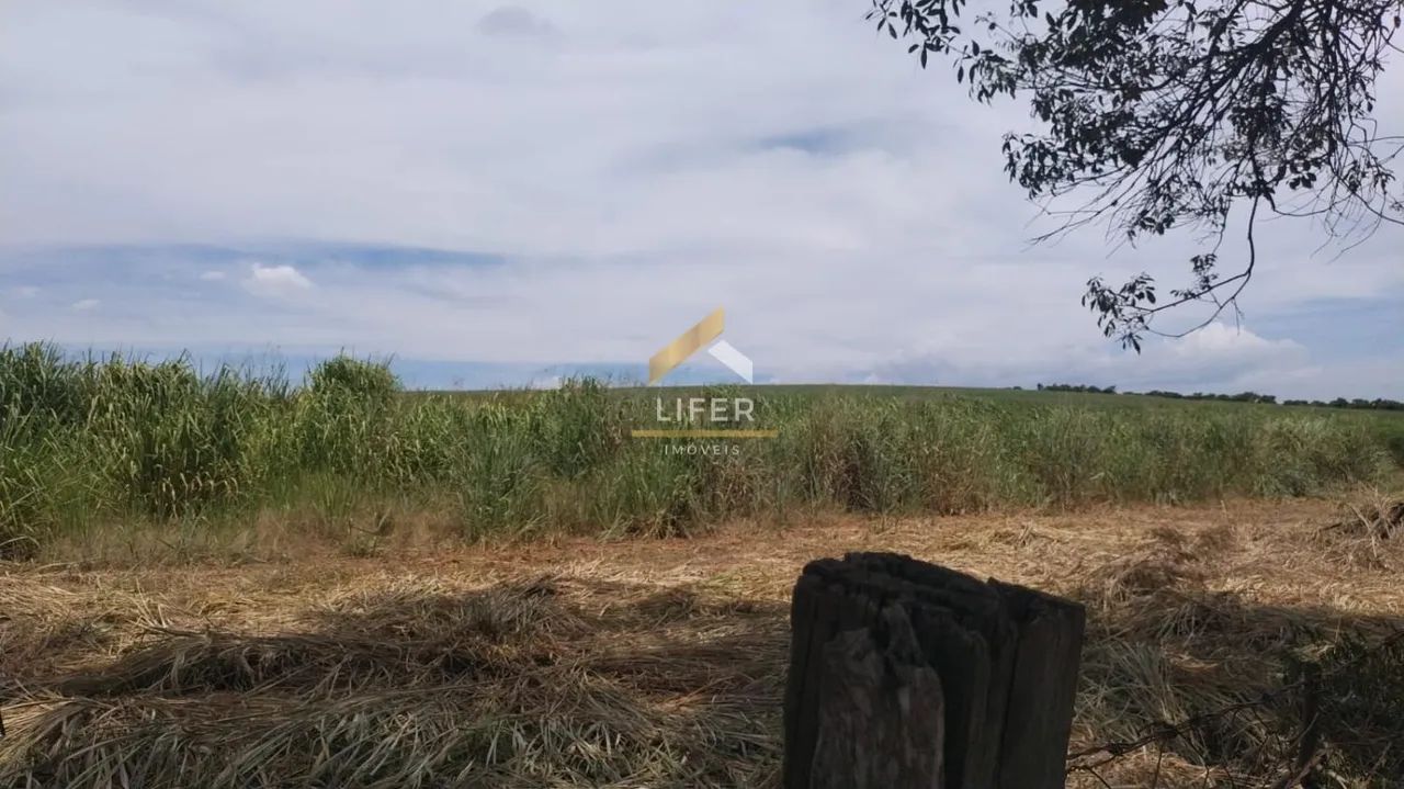 LINDO SITIO A VENDA EM CAPIVARI /SP. - Foto 4