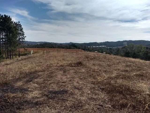 Área de 6.460m² - Foto 15