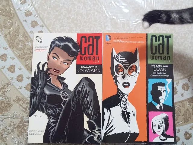 Catwoman by Ed Brubaker 1 e 2 (DC Comics) importado - arte de Darwyn Cooke Cameron Stewart - Foto 2