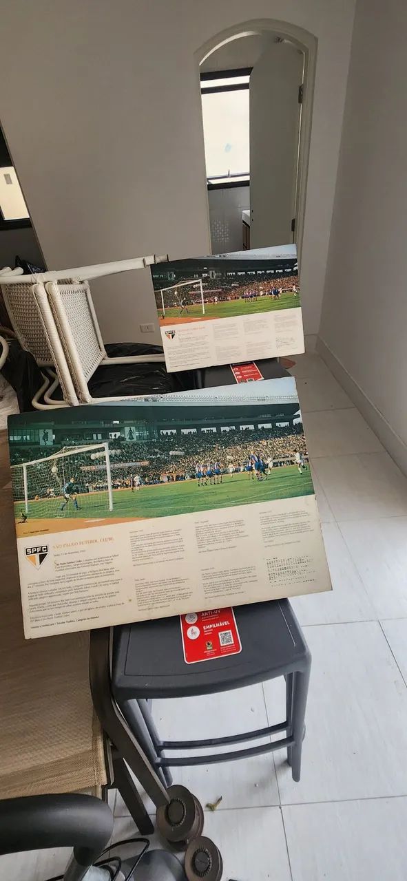 Quadro CAMPEÃO DO MUNDO gol de falta do Raí