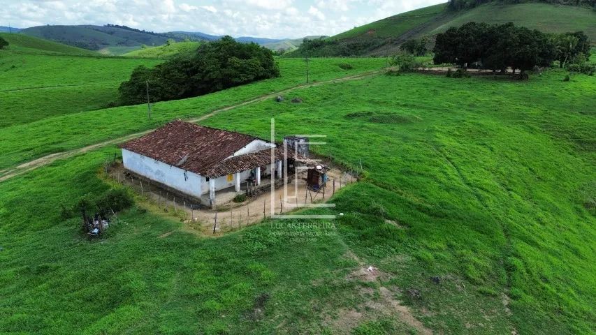 Fazenda totalmente mecanizada de 226 hectares com excelente topografia em São José da Laje - Foto 4