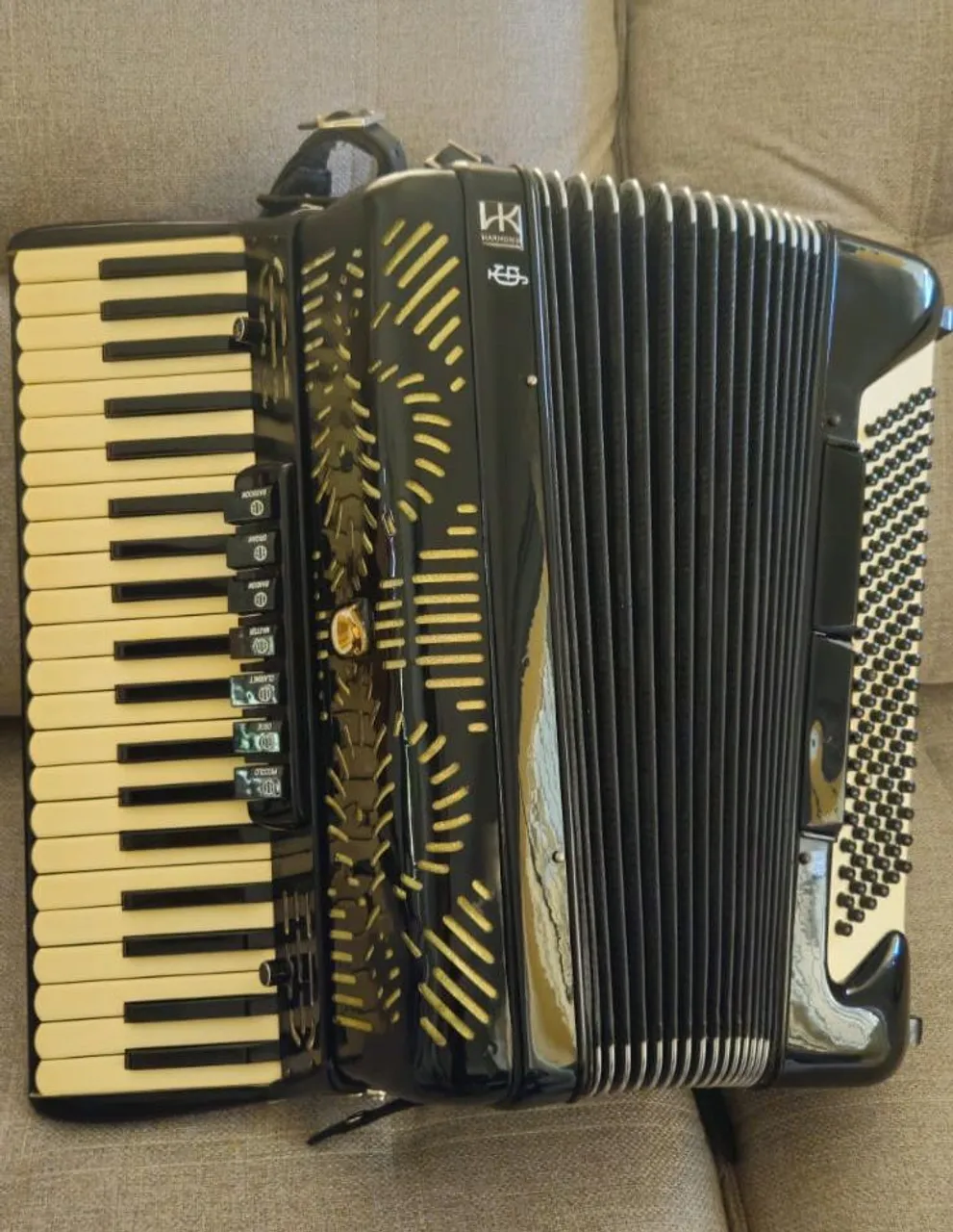 VENDO ACORDEON GIULIETTE 120 BAIXO