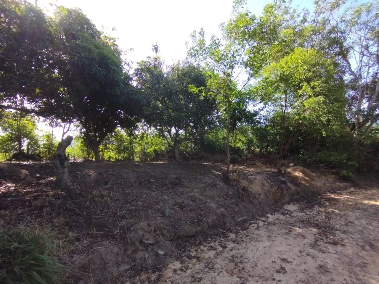 Terreno na ilha de Itaparica R$ 12.000,00 - Foto 5