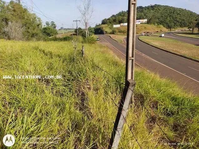 Área Rural para Venda em Jataizinho - Foto 3