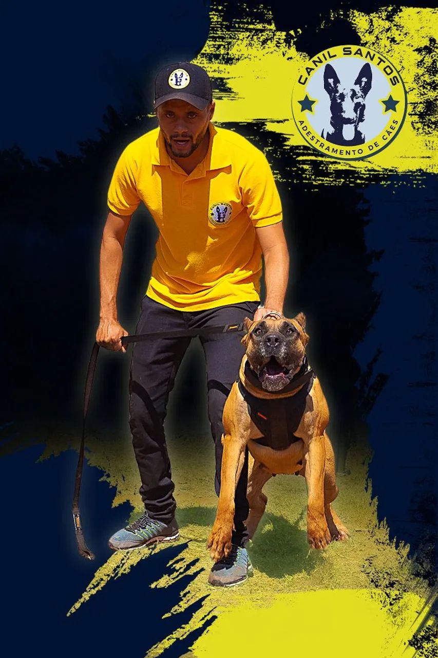 Presa Canário - Filhote Macho Disponível! - Foto 3
