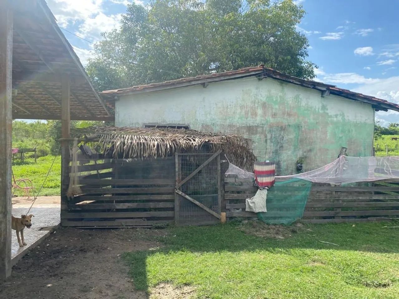 Terreno com área verde em local tranquilo - Foto 5