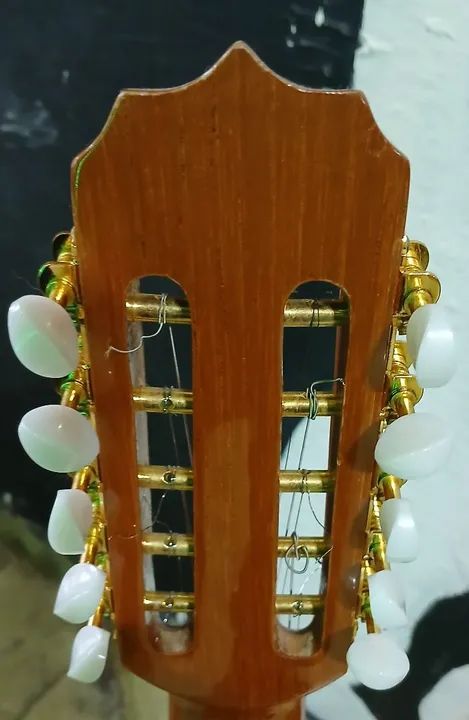 Viola Rozini profissional elétrica  na Musical Brother  - Foto 5