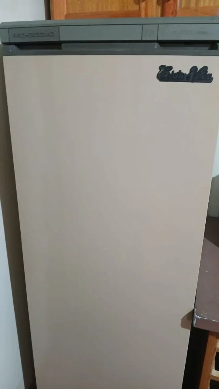 FREEZER VERTICAL PROSDÓCIMO 210 LITROS 