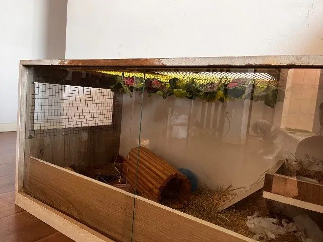 Terrareo para Roedores e afins - Foto 3