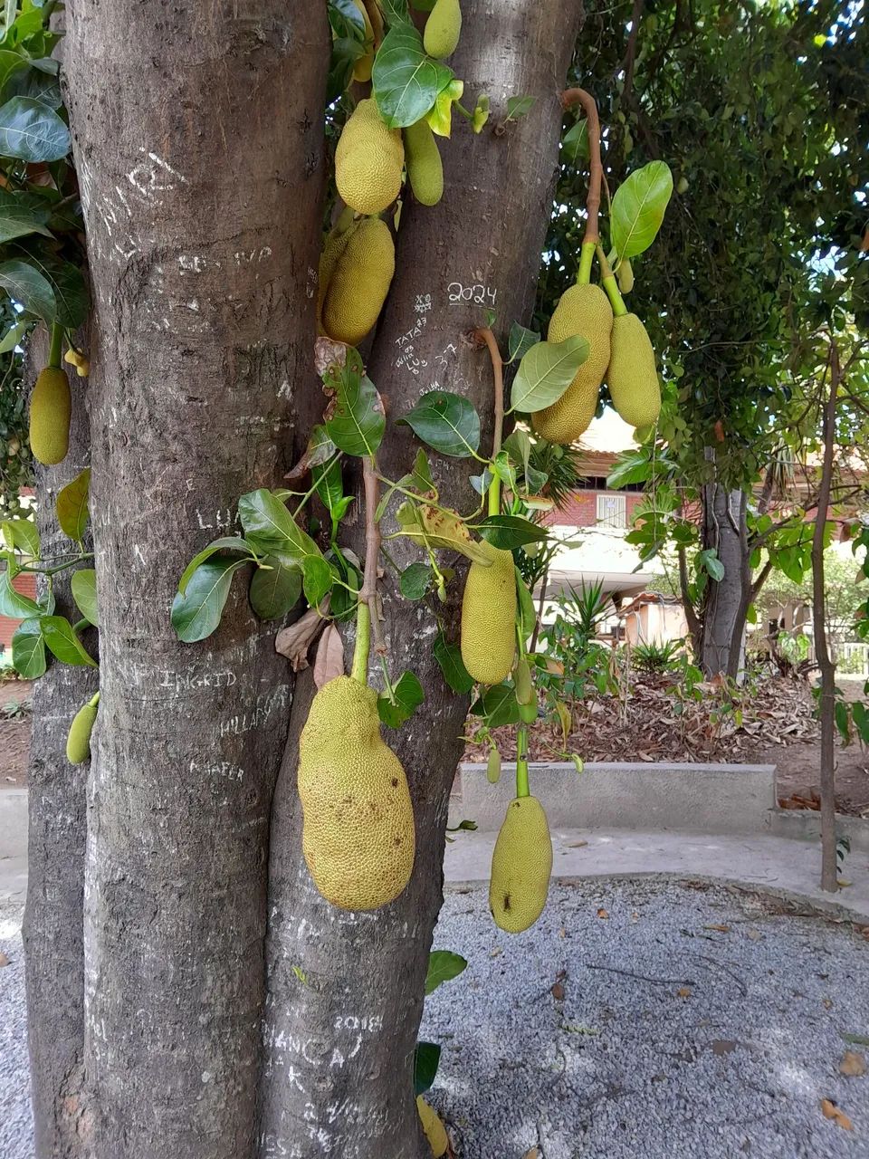 Foto - Betim - Bom Retiro