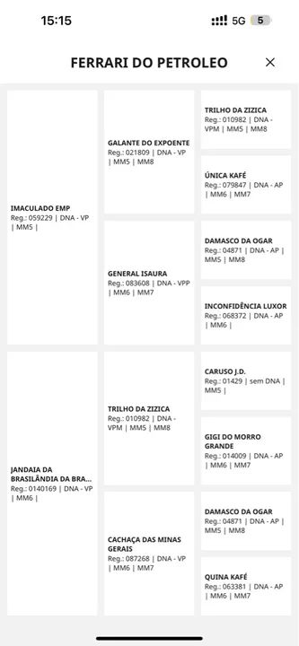 Potro Mangalarga Marchador extra de marcha picada e de genética! - Foto 5