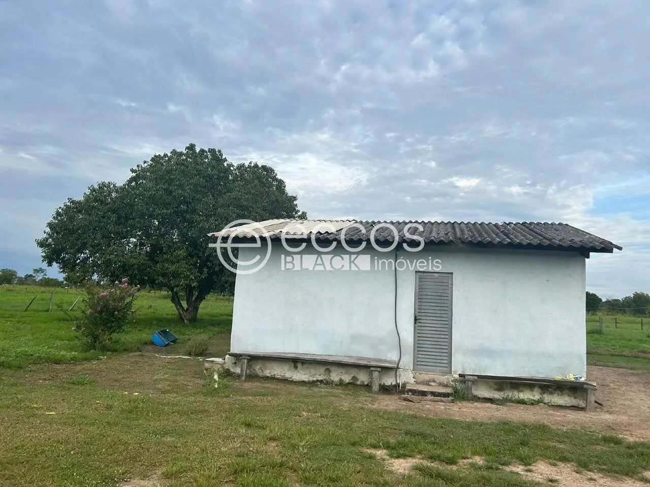 Fazenda à venda, Área Rural - Paranã/TO - Foto 2