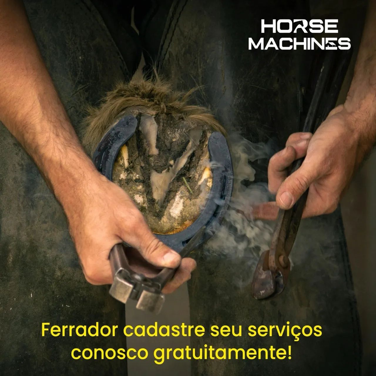 Conheça a Horse Machines. - Foto 3