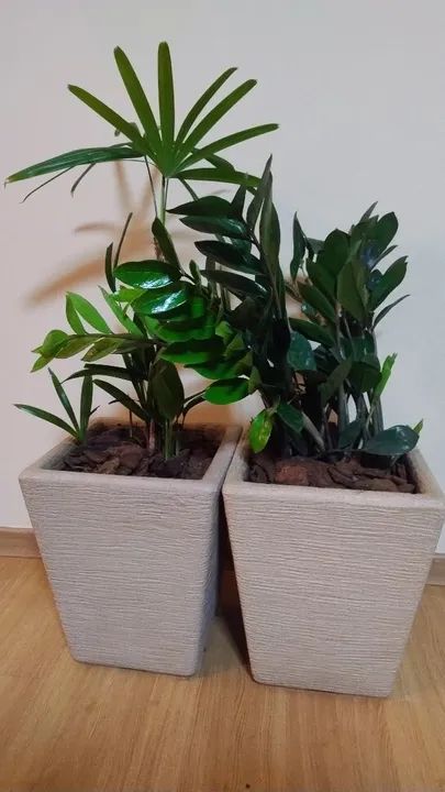 Duas Plantas em Vasos Decorativos - Foto 3