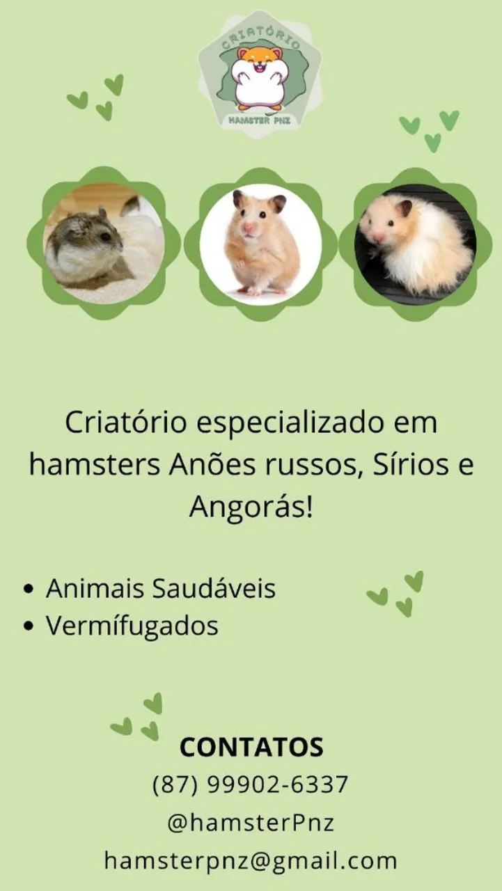 Hamsters