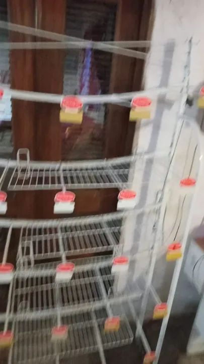 Expositor de produtos para comércio sandálias - Foto 5