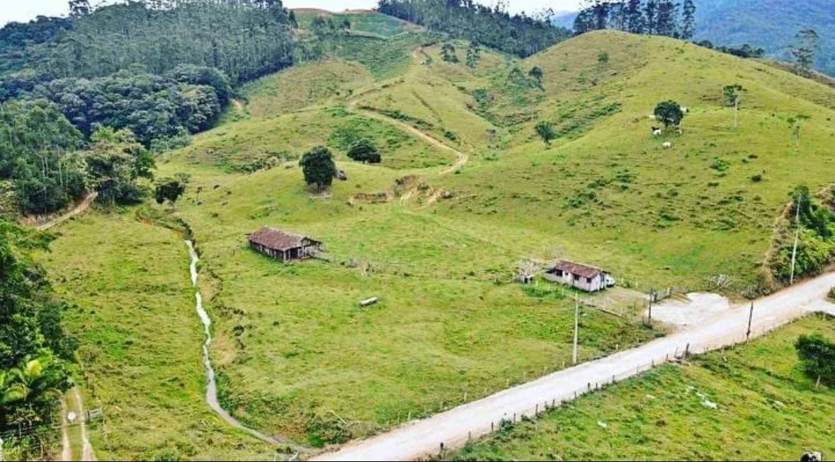 Vendo sítio  - Foto 4